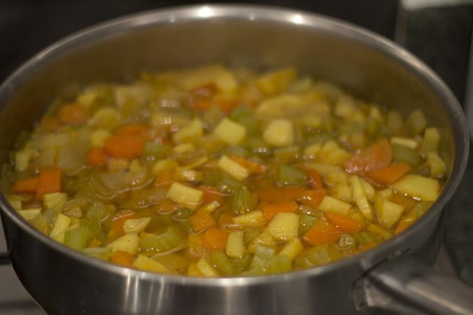 vegan winter vegetable soup