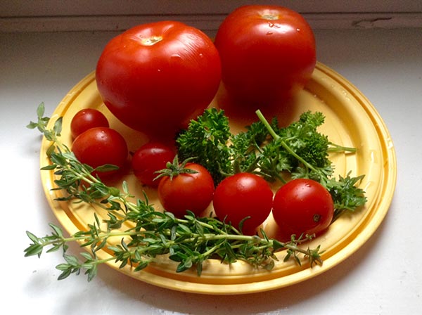 organic tomatoes