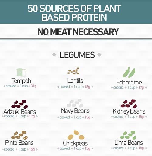 Plant Based Protein Sources Chart