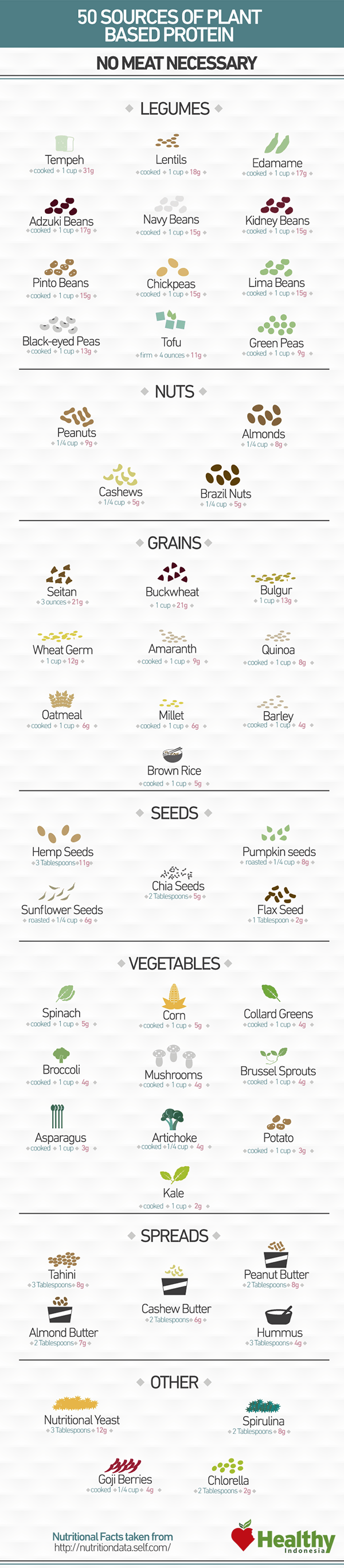 plant based protein sources