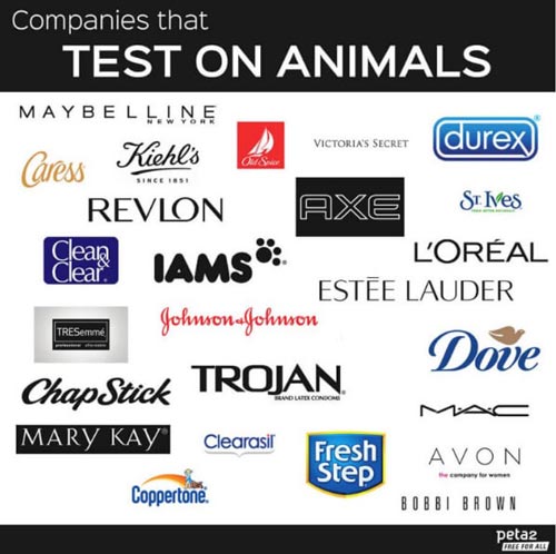 companies that test on animals