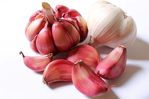 garlic-healing-infection