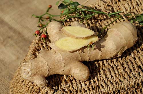 ginger-natural-antibiotic