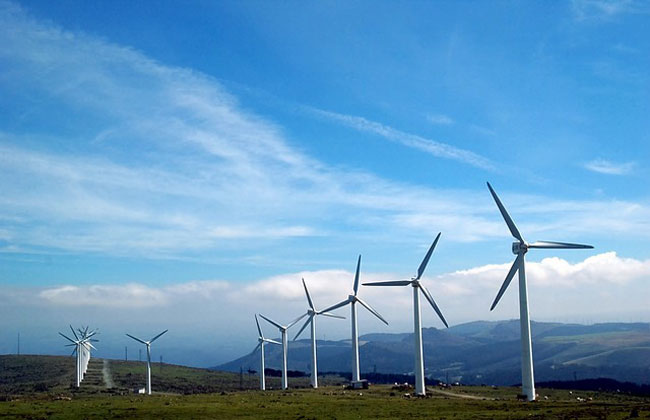 wind-power-vegan-electricity