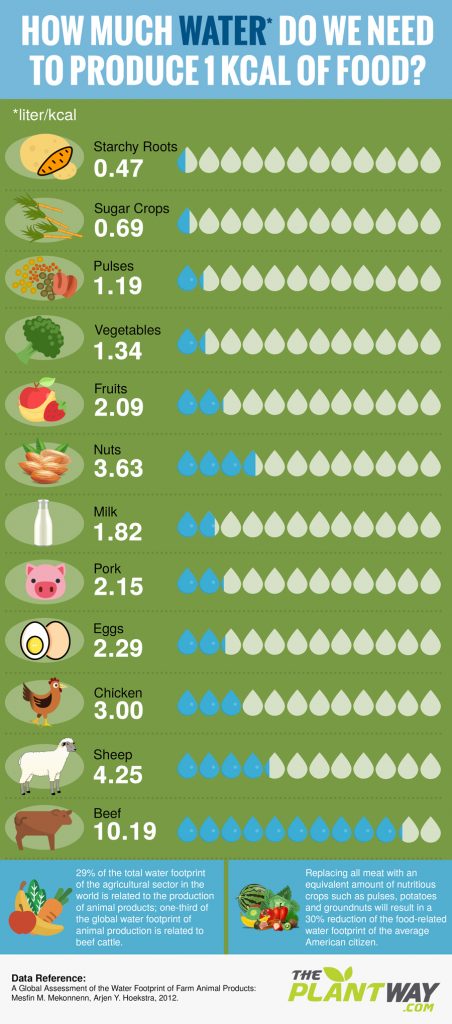 Plants vs. Meat: How Much Water Is Required to Produce 1 Calorie?