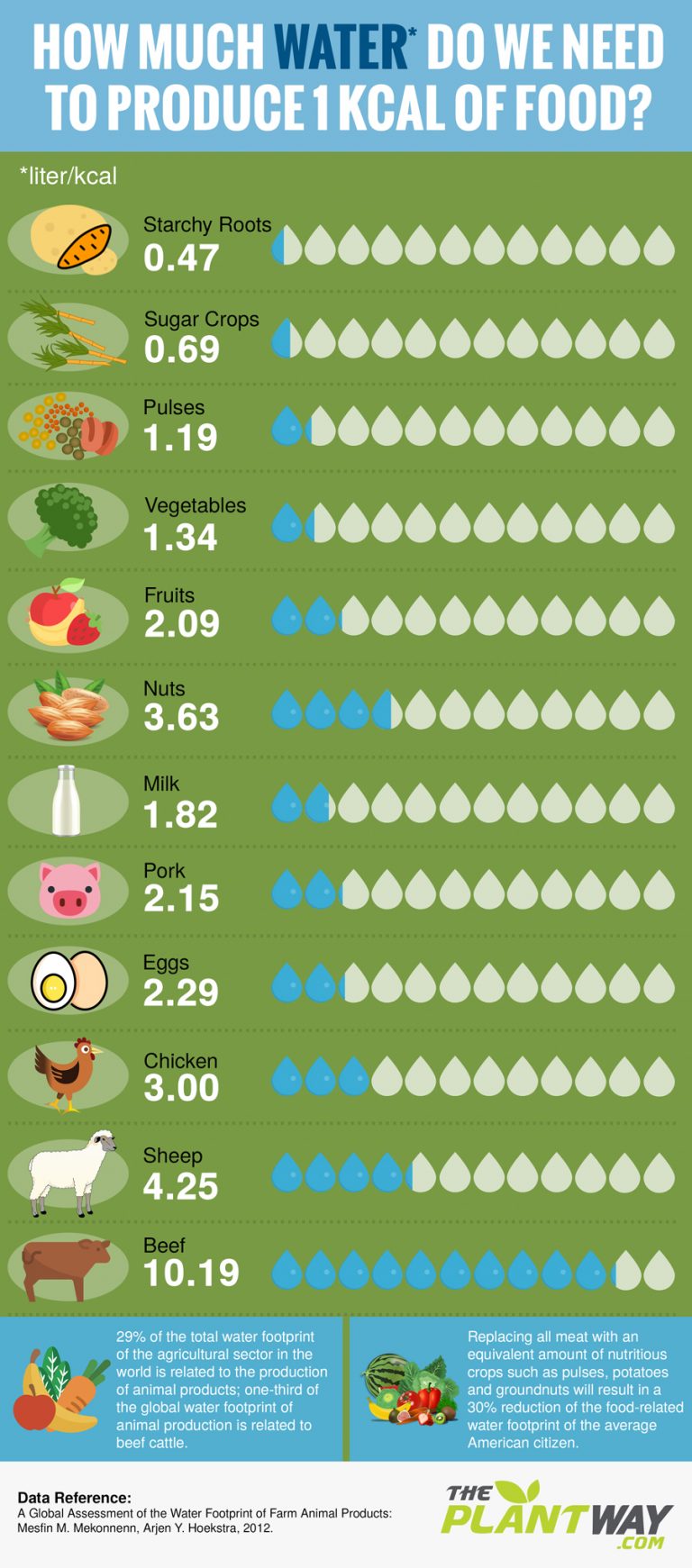 Plants vs. Meat: How Much Water Is Required to Produce 1 Calorie?