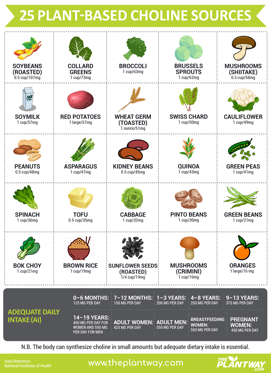 25 Vegan Sources Of Choline